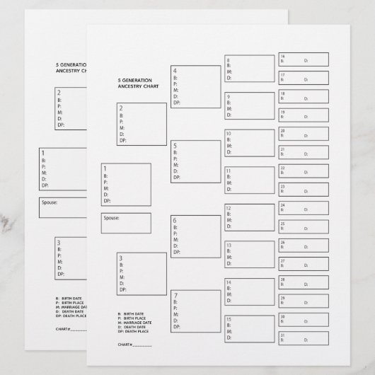 5 Generation Genealogie Pedigree Paper Sheet (Vorne/Hinten)