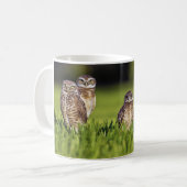 5 grabender EulenAthene Cunicularia Kaffeetasse (Vorderseite Links)