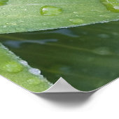 5 Heilung - 72 Namen Gottes Poster (Ecke)