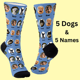 5 Hunde, 5 Namen, Hunde Foto - Personalisiert blau Socken