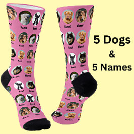 5 Hunde, 5 Namen, Hunde Foto - Personalisiert rosa Socken