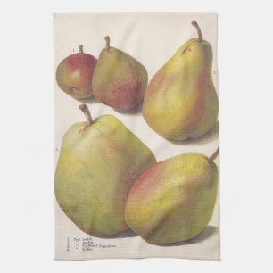 5 illustrierte alte Birnen Küchentuch