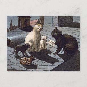 5 Katzen mit Notenblatt, die nachts auf einem Dach Postkarte