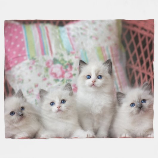 5 KITTEN FLEECEDECKE (Vorderseite (Horizontal))