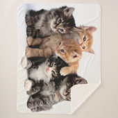 5 KLEINE KITTEN SHERPADECKE (Vorderseite)