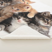 5 KLEINE KITTEN SHERPADECKE (3/4)