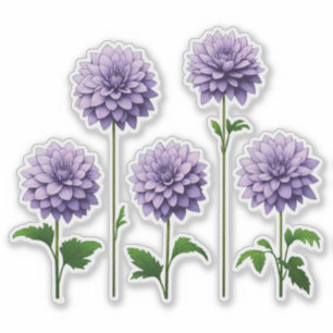 5 Lavendel-Dahlie (hell) Aufkleber