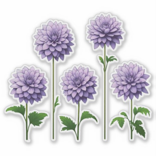 5 Lavendel-Dahlie (hell) Aufkleber (Vorderseite)