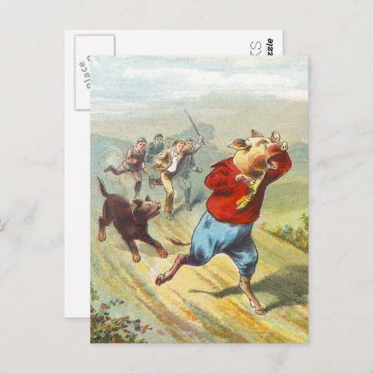 5 Little Pigs: It Cried Wee Postkarte (Vorne/Hinten)