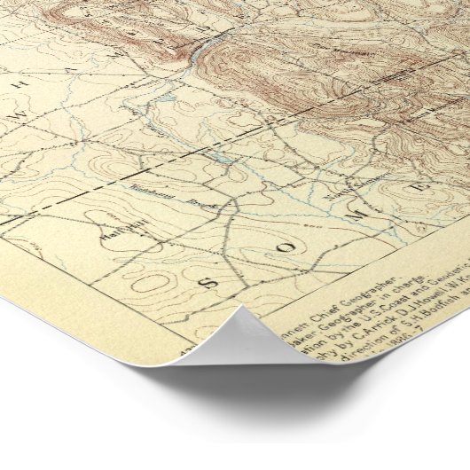 5 Palmer-Blatt Poster (Ecke)