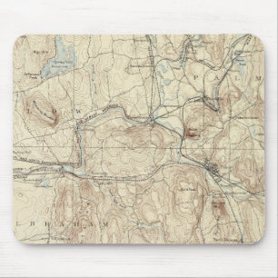 5 Palmerblatt Mousepad