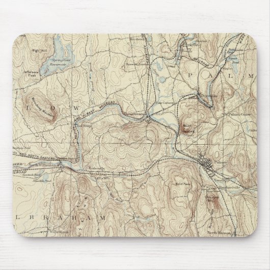 5 Palmerblatt Mousepad (Vorne)