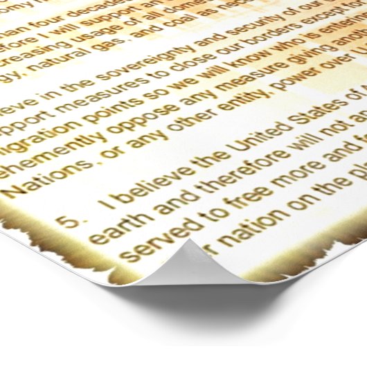 5 Patronen Glenn Beck Poster (Ecke)