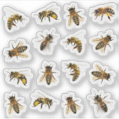 5 realistische Honigbienen auf 16 Vinyl Stickers Aufkleber (Vorderseite)