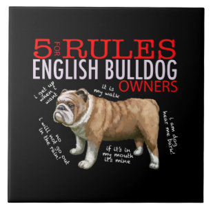 5 Regeln für English Bulldog-Besitzer Bulldoggen-V Fliese