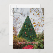 5 Story Sdc Tree Christmas Postcard Postkarte (Vorne/Hinten)