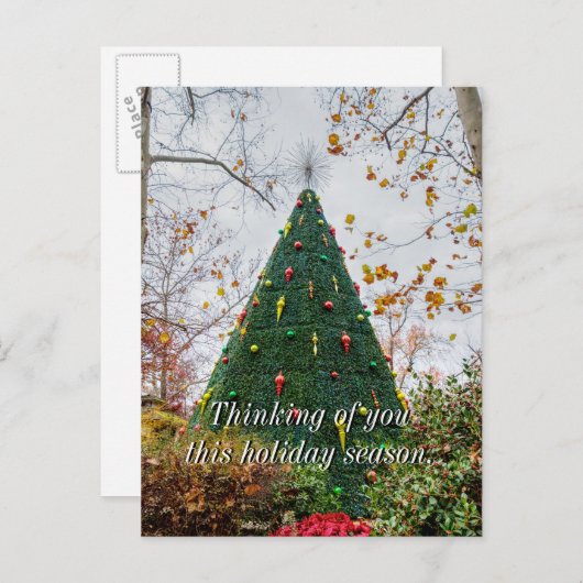 5 Story SDC Tree Denken Sie an Postkarte (Vorne/Hinten)