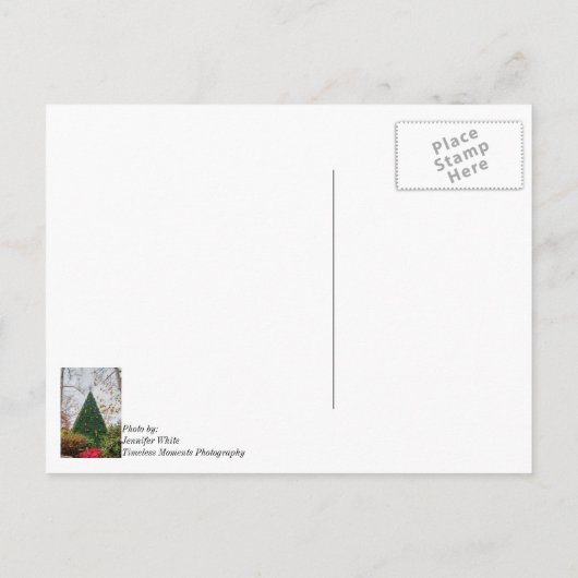 5 Story SDC Tree Denken Sie an Postkarte (Rückseite)