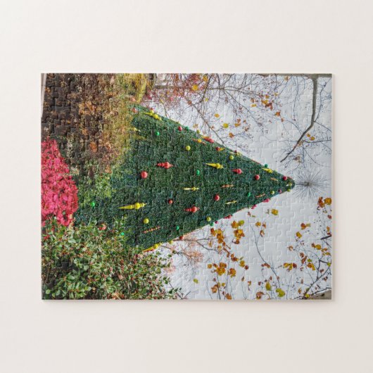 5 Story SDC Tree Jigsaw Puzzle (Horizontal)
