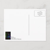 5 Story SDC Tree Night Postkarte (Rückseite)