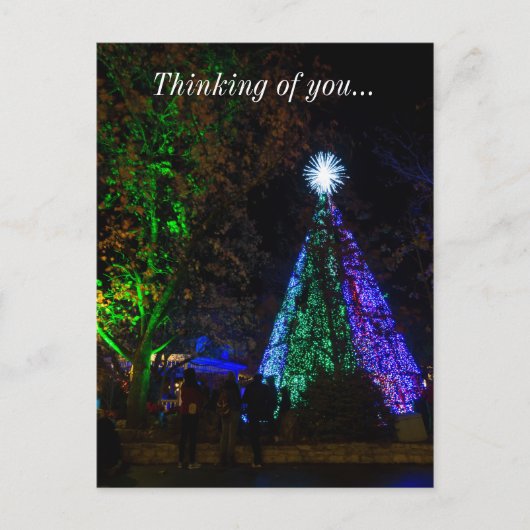 5 Story SDC Tree Night Postkarte (Vorderseite)