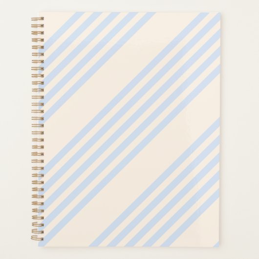 5 Streifen in hellblau und beige Planer (Vorderseite)