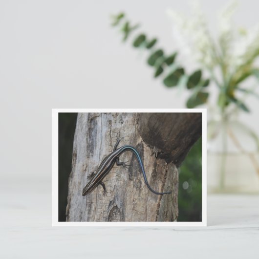 5 Streifen Rosa Postkarte (Stehend Vorderseite)