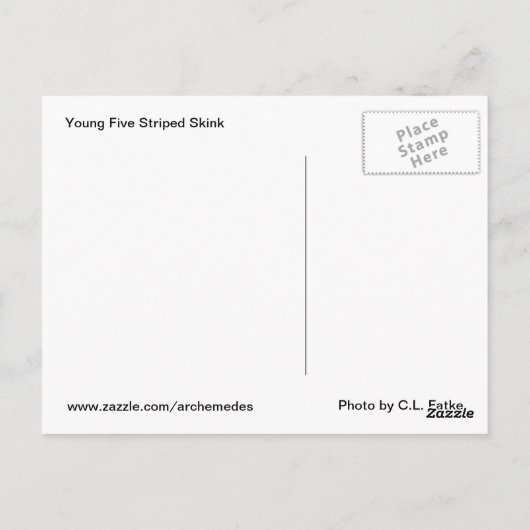 5 Streifen Rosa Postkarte (Rückseite)