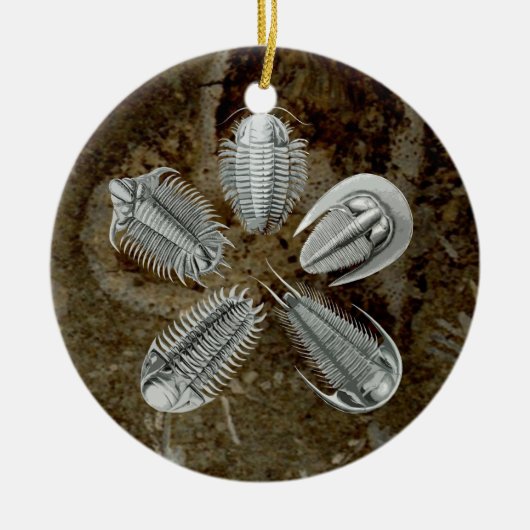 5 Trilobites Verzierung Keramik Ornament (Vorne)