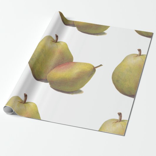 5 Vintage Birnen illustriert Geschenkpapier (Ungerollt)