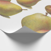 5 Vintage Birnen illustriert Geschenkpapier (Ecke)