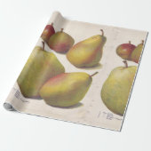 5 Vintage Birnen illustriert Geschenkpapier (Ungerollt)