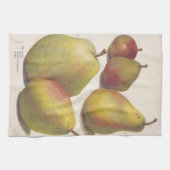 5 Vintage Birnen illustriert Küchentuch (Horizontal)