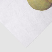 5 Vintage Birnen illustriert Seidenpapier (Ausschnitt)