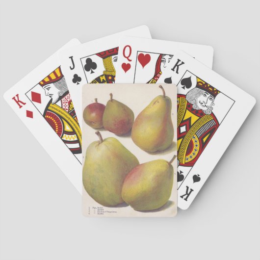 5 Vintage Birnen illustriert Spielkarten (Rückseite)