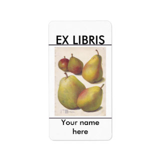 5 Vintage Birnen illustriertes Buchzeichen Adressaufkleber