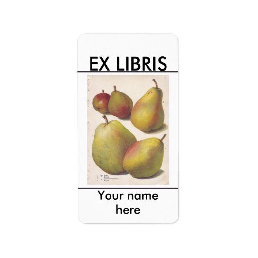 5 Vintage Birnen illustriertes Buchzeichen Adressaufkleber (Vorne)