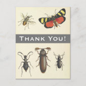 5 Vintage Insekten "Danke!" Postkarte (Vorderseite)