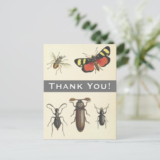 5 Vintage Insekten "Danke!" Postkarte (Stehend Vorderseite)