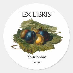 5 Vintage Pflaumenmalerei Buchzeichen Runder Aufkleber