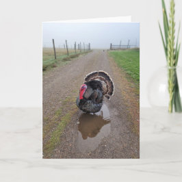 5"x7" Faltkarte | Die Türkei im Nebel Karte