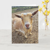 5"x7" Faltkarte | Ginger Karte (Gelbe Blume)