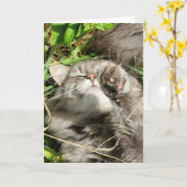 5"x7" Faltkarte | Granite Cat Nickerchen Karte (Gelbe Blume)