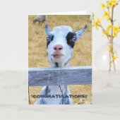5"x7" Faltkarte | Herzlichen Glückwunsch Goat Karte (Gelbe Blume)