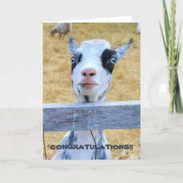 5"x7" Faltkarte | Herzlichen Glückwunsch Goat Karte