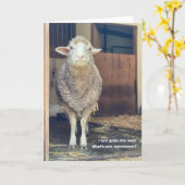 5"x7" Faltkarte | Marshmallow Karte (Gelbe Blume)