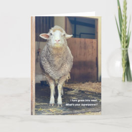 5"x7" Faltkarte | Marshmallow Karte