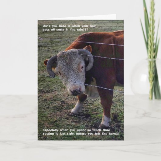 5"x7" Faltkarte | Popeye Morning "Do Karte (Vorderseite)