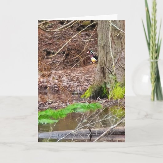 5"x7" Faltkarte | Shy Wood Duck Karte (Vorderseite)
