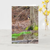 5"x7" Faltkarte | Shy Wood Duck Karte (Gelbe Blume)